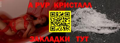 дмт Гай