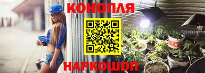 mdpv Гатчина