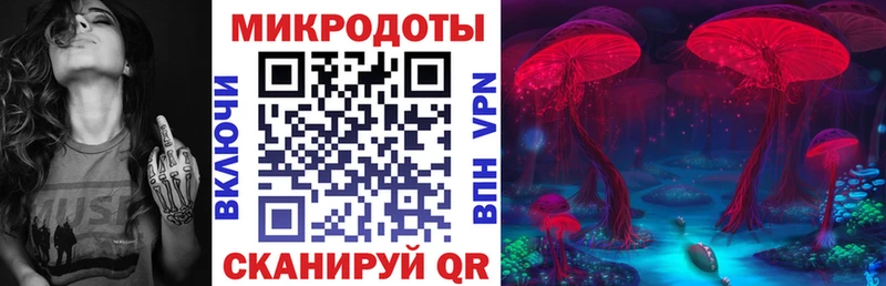 дарк нет официальный сайт Донской Псилоцибиновые грибы Psilocybe