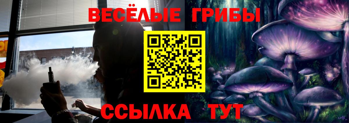 Донской  Псилоцибиновые грибы Psilocybine cubensis  Вход с VPN 